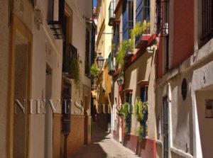 Street of the Santa Cruz neighborhood