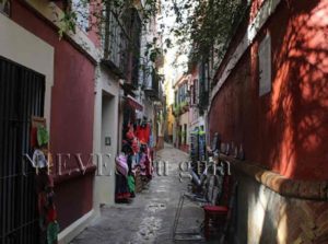 Typical street of the Santa Cruz neighborhood