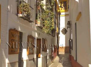 Narrow street of Seville