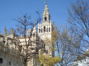 General view of the cathedral and the Giralda of Seville