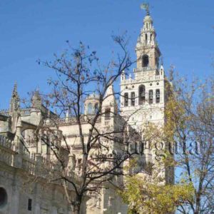 Vista general de la catedral y la Giralda de Sevilla