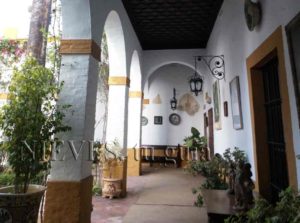 Patio intérieur Palacio de las Dueñas