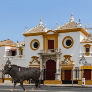 Plaza de Toros La MAestranza